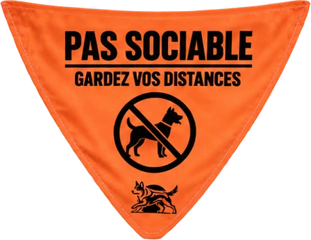 Pas sociable. Gardez vos distances. Pictogramme de chien barré.